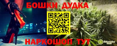 шишки Шебекино