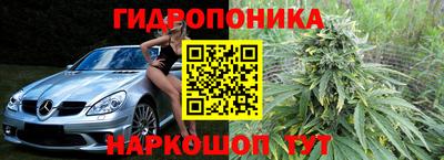 прущие грибы Шелехов