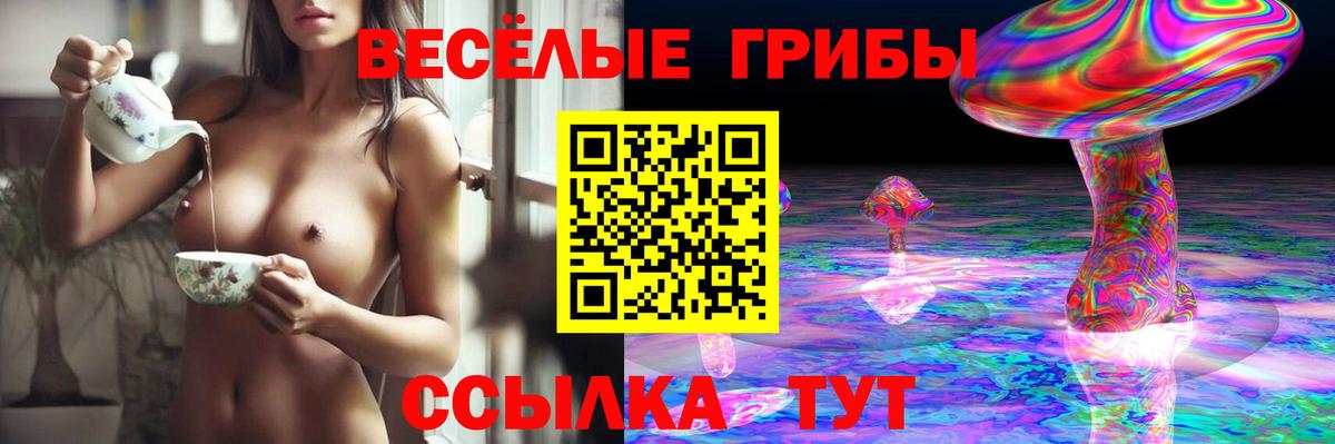 Псилоцибиновые грибы MAGIC MUSHROOMS Гагарин